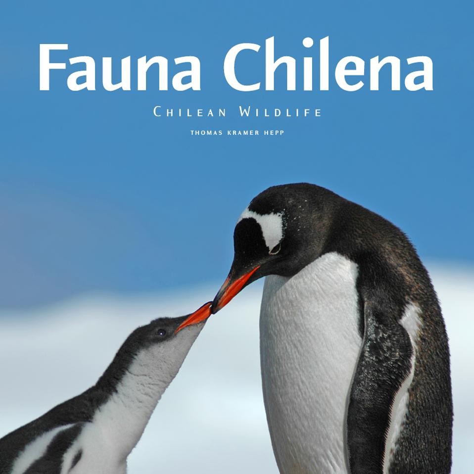 FAUNA CHILENA