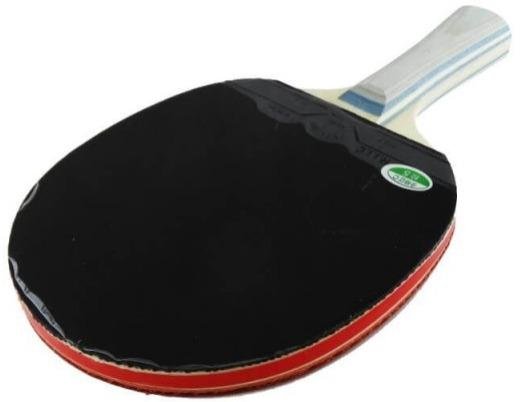 Paleta Ping Pong Super Quality -