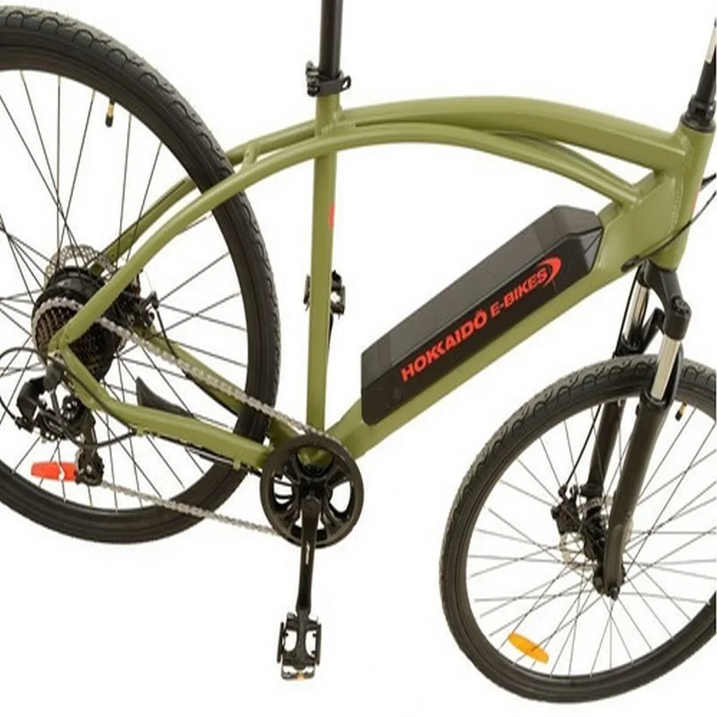 E-bike Ciclismo Akita - Color: Verde