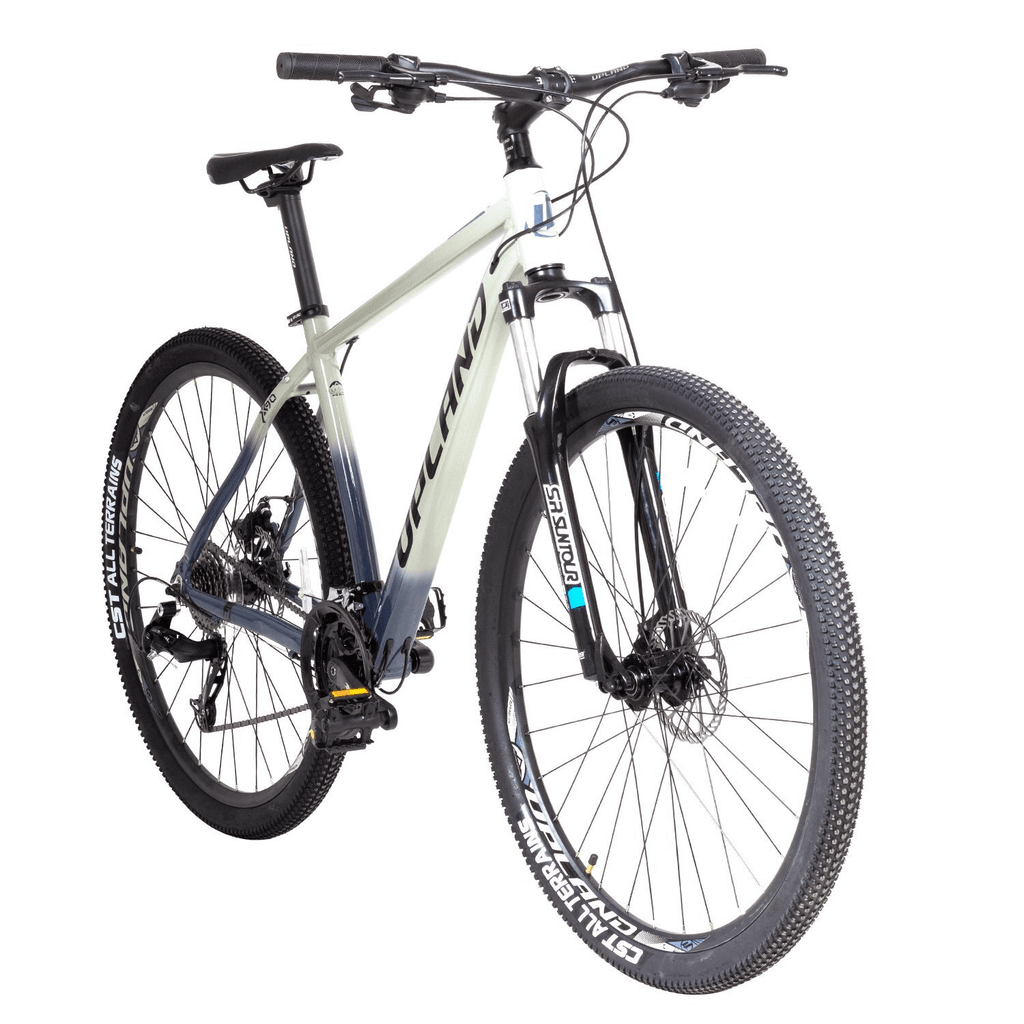 Bicicleta X90-29 Aluminio - Color: Gris