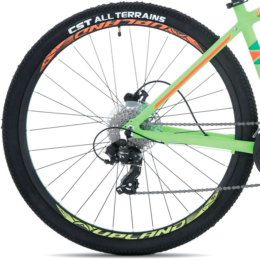 Bicicleta X200-29 Hombre - Color: Green