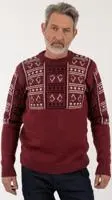 Sweater Sate Hombre