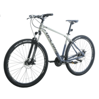 Miniatura Bicicleta X90-29 Hombre - Color: Grey
