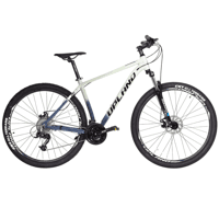 Bicicleta X90-29 Aluminio