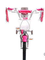 Miniatura Bicicleta Infantil Dolce Acero V Brakes Silla P/Muñeca 1V. (2Do Color) -