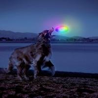 Miniatura Disco Volador LED Para Perro - Color: Varios