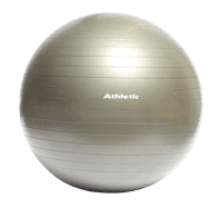 Miniatura Balón De Pilates 65 Cm 1100G -